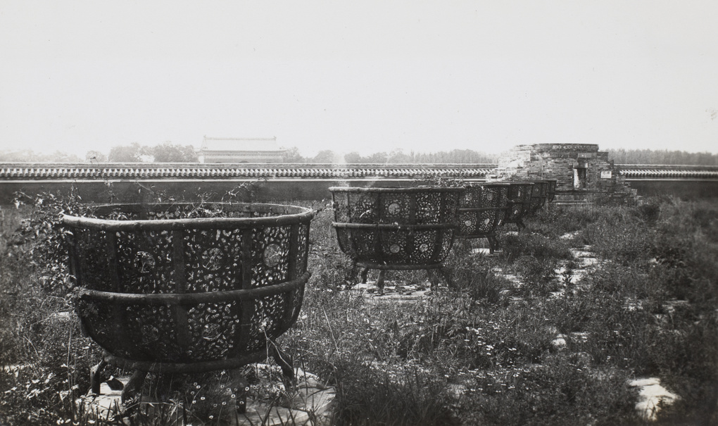 An unkept garden in the Forbidden City, Beijing 