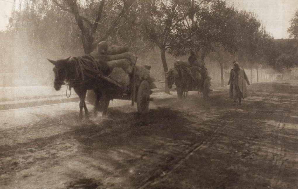 Pack horses with laden carts, Peking