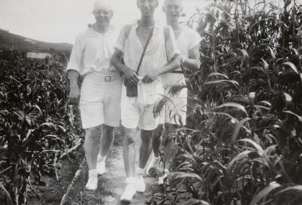 F. Hagger with two pipe-smoking Royal Navy sailors in a maize field, Weihai (威海)