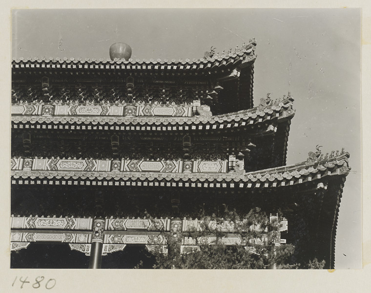 Detail showing corner of roof of Wan chun ting