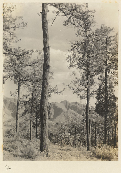 Landscape with trees and mountains near Xi yu si