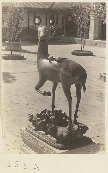 Bronze deer in front of Luo shou tang