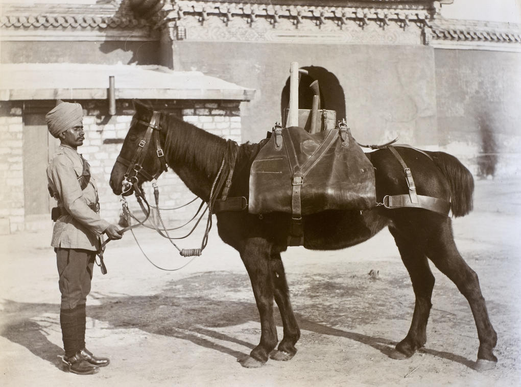 Indian cavalryman with horse laden with tools