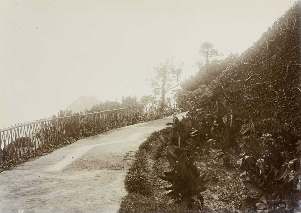 A mountain path with bamboo rails, Hong Kong