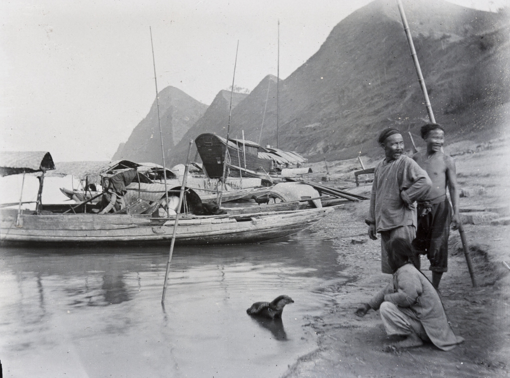 Fishermen with an otter (trained to fish) and bamboo canes, near Yichang