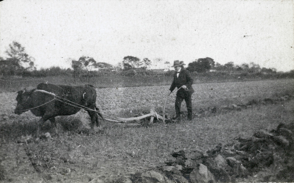 European man ploughing in a suit
