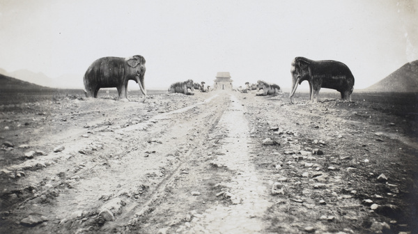 Marble Animals standing guard by the road to the Ming Tombs, Beijing