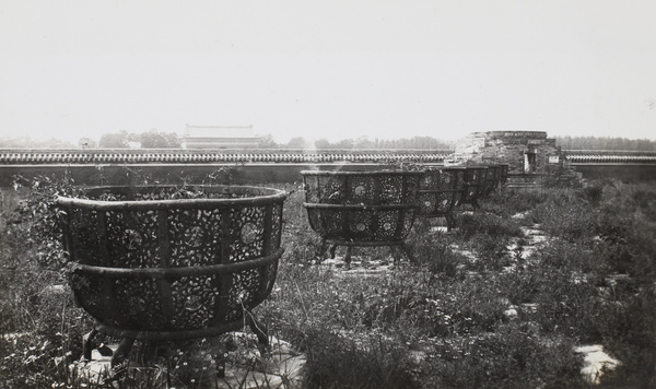 An unkept garden in the Forbidden City, Beijing 
