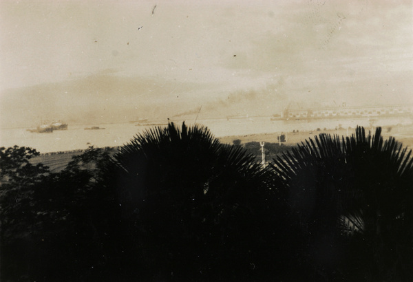 Harbour viewed through palms, 1929