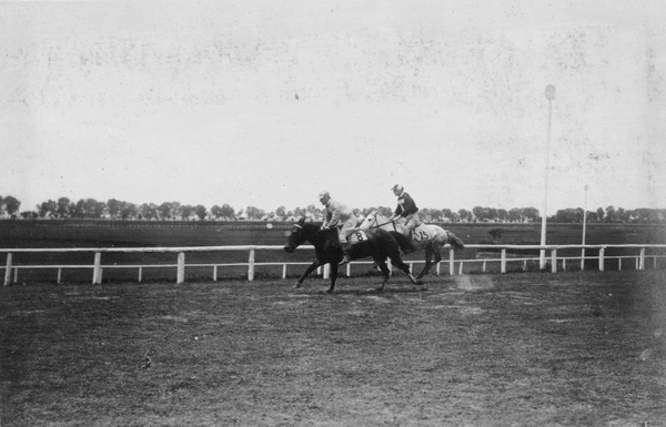 Two horses, Hankow Race Club (汉口赛马会)