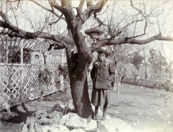 Phyllis Carrall in a tree, with Gwen Carrall