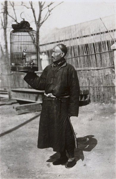A man holding up a bird in a cage, Tianjin