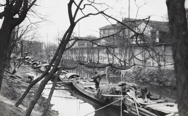 Sampans moored in a row in a creek