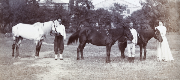 Mafoos and Dorothy Cobb, with three ponies