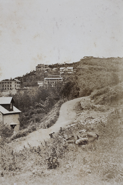 A grazing horse, workers beside a road, and summer houses, Moganshan