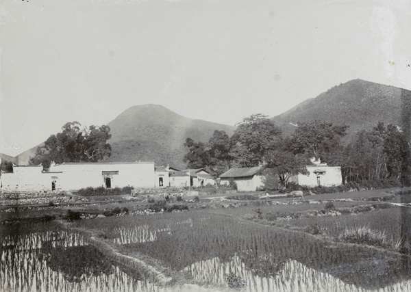 Village with rice paddy, near Kiukiang