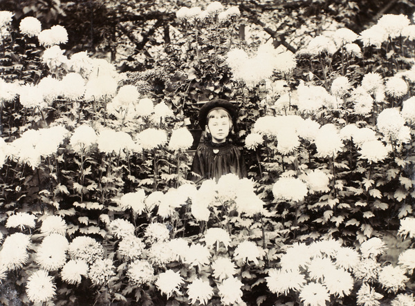 Yvonne Hughes among chrysanthemums, 1900