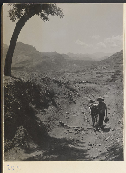 Guide with his donkey on the trail through the Jumahe Valley