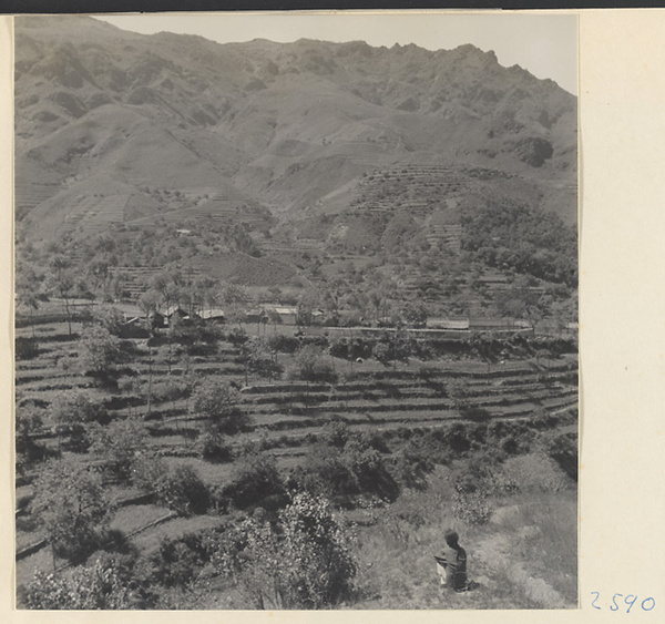View of village on a terraced hillside in the Lost Tribe country