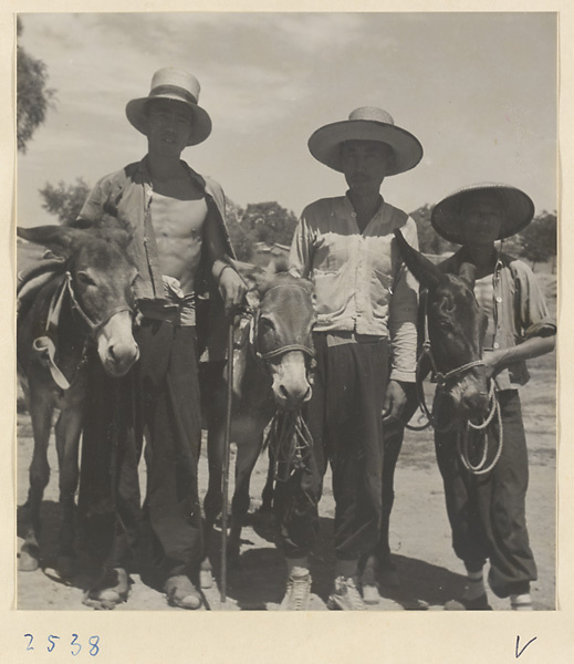 Three guides, who traveled with Hedda Morrison to the Lost Tribe country, and their donkeys