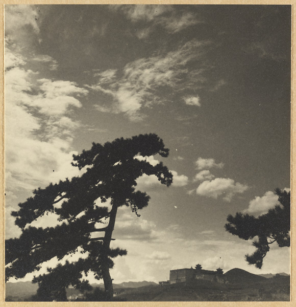 Silhouette of a pine tree and east facade of Da hong tai at Pu tuo zong cheng miao