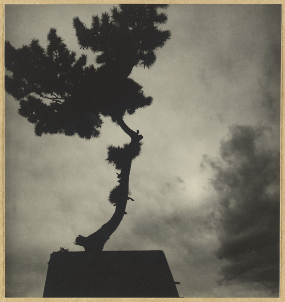 Silhouette of a tree and a temple building