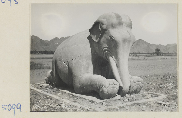 Seated stone elephant on Shen Dao leading to the Ming tombs