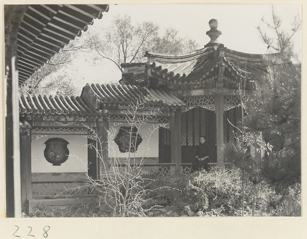 Half-open staircase gallery with ornamental windows leading to octagonal pavilion with cracked-ice latticework in the Old Wu Garden