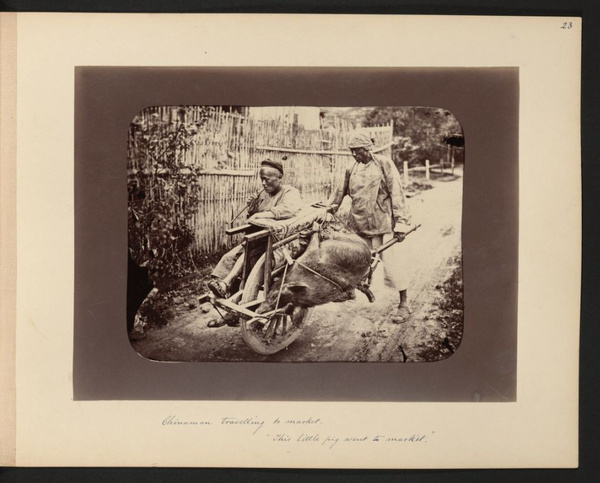 A man and a trussed up pig, on a wheelbarrow, with a porter