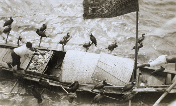 Fishermen on a fishing boat with cormorants