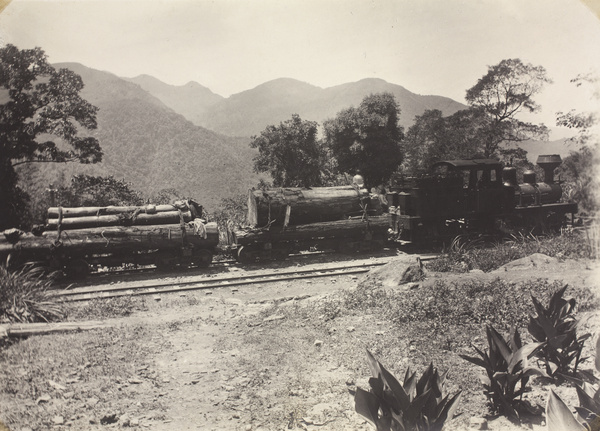 Shay locomotive and lumber train, Alishan Forest Railway, Taiwan