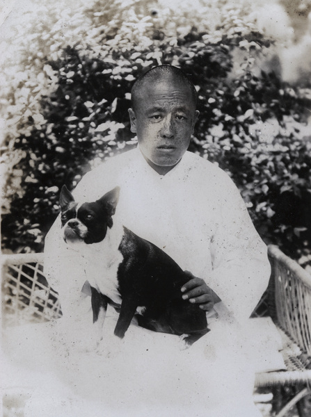 A Chinese man with a French Bulldog (Bouledogue Français)