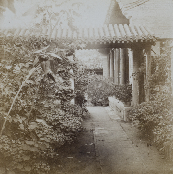 Garden and buildings, British Legation, Beijing