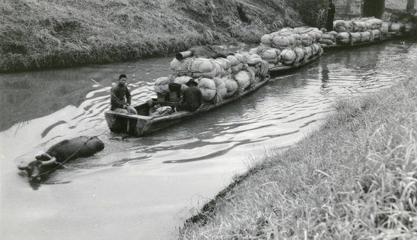 Barges towed by a water buffalo