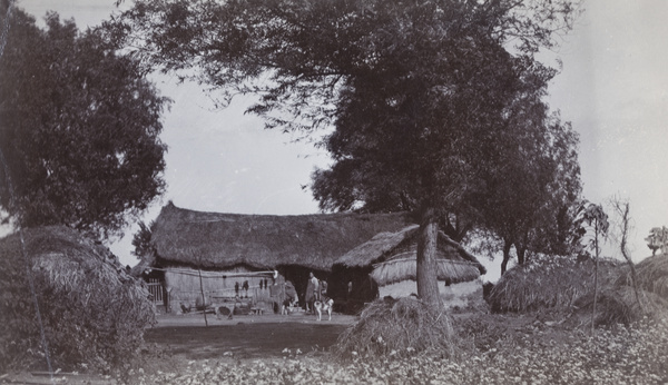 A farm house