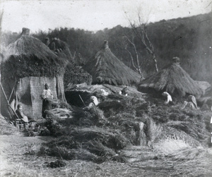 Huts and gathered straw
