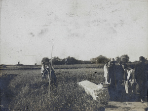 Workers beside a rice field