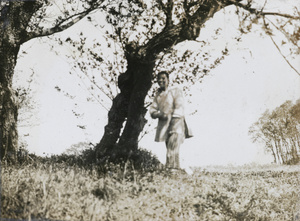 A woman under a tree