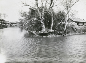 A man among trees at a river confluence