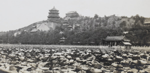 Water lily and view of Foxiangge (佛香閣 Tower of Buddhist Incense) in the Summer Palace, Beijing