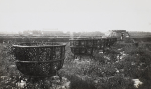 An unkept garden in the Forbidden City, Beijing 