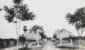 Stone camels on the way to the Ming Tombs, Nanjing