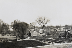 Trees and houses in the countryside, possibly Wuchang