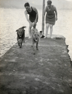Couple with dogs on pier