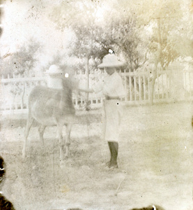 Child with a deer