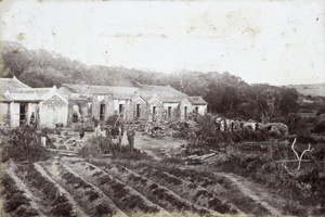 A group of Europeans visiting a farming village