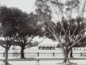 A pavilion structure behind trees, Hong Kong