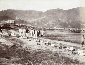 A group of Europeans standing in front of corpses of beheaded Chinese, possibly Canton