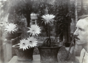Dr Charles Elliott with a flowering cactus, 1917