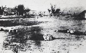 Aftermath of executions